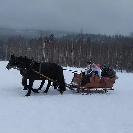 Komfortowe W Villi Blisko Natury * Karpacz