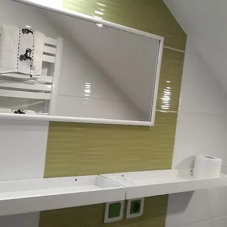 Komfortowe W Villi Blisko Natury カルパッチ