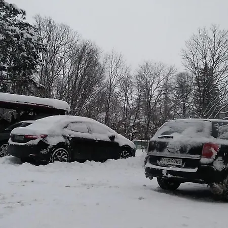 Komfortowe W Villi Blisko Natury カルパッチ