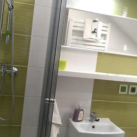 Komfortowe W Villi Blisko Natury カルパッチ