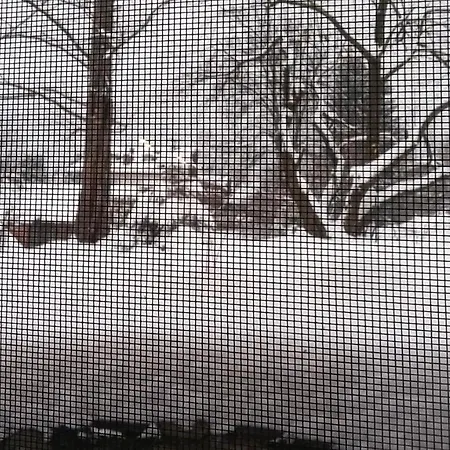 Komfortowe W Villi Blisko Natury